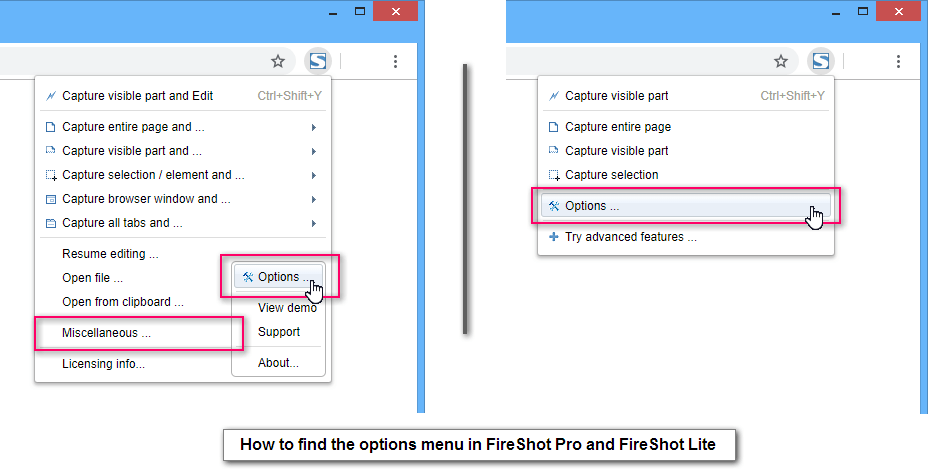 How to open FireShot Options