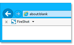 FireShot button in IE