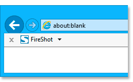 fireshot ie