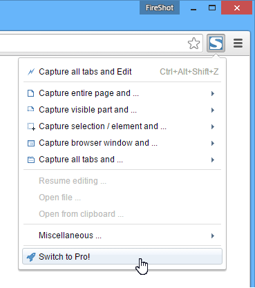 fireshot pro for chrome